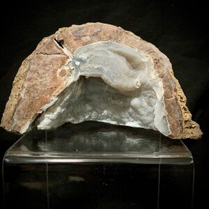 🔥 CHALCEDONY AGATE GEODE HALF • RAW DRUZY CAVE • NATURAL SPECIMEN 🔥